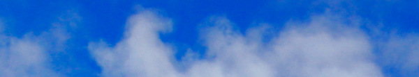 header1.jpg